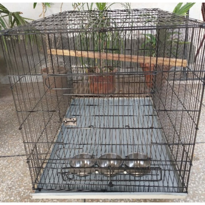 RAW parrots Ring neck parrot folding CAGE heavy gauged Best Quality  2ftx3ftx2ft size