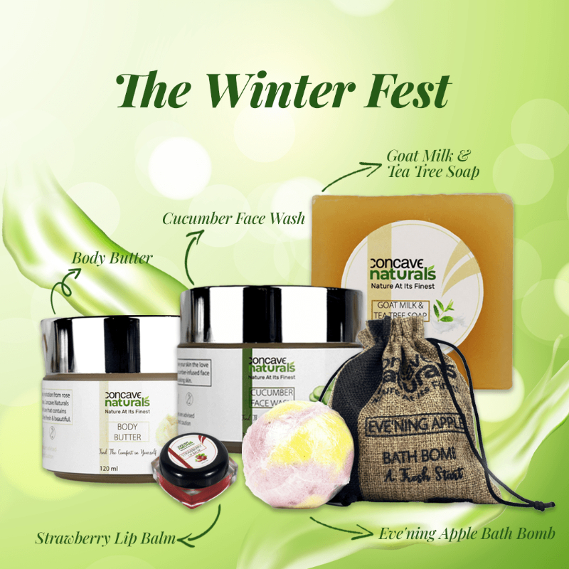 The Winter Fest