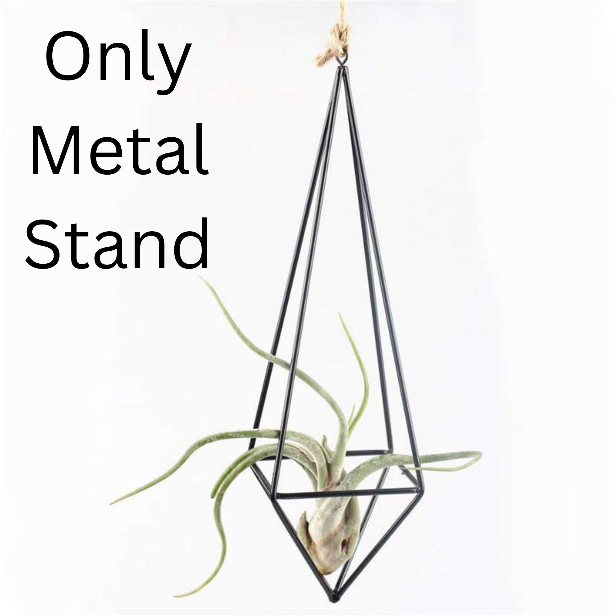 Modern Rustic Art Style Freestanding Hang iron ndsia Air Plant Rack Holder Black 10.2 Inches Height Quadrilateral Pyramid Shape Geometric Hollow Flower Pots