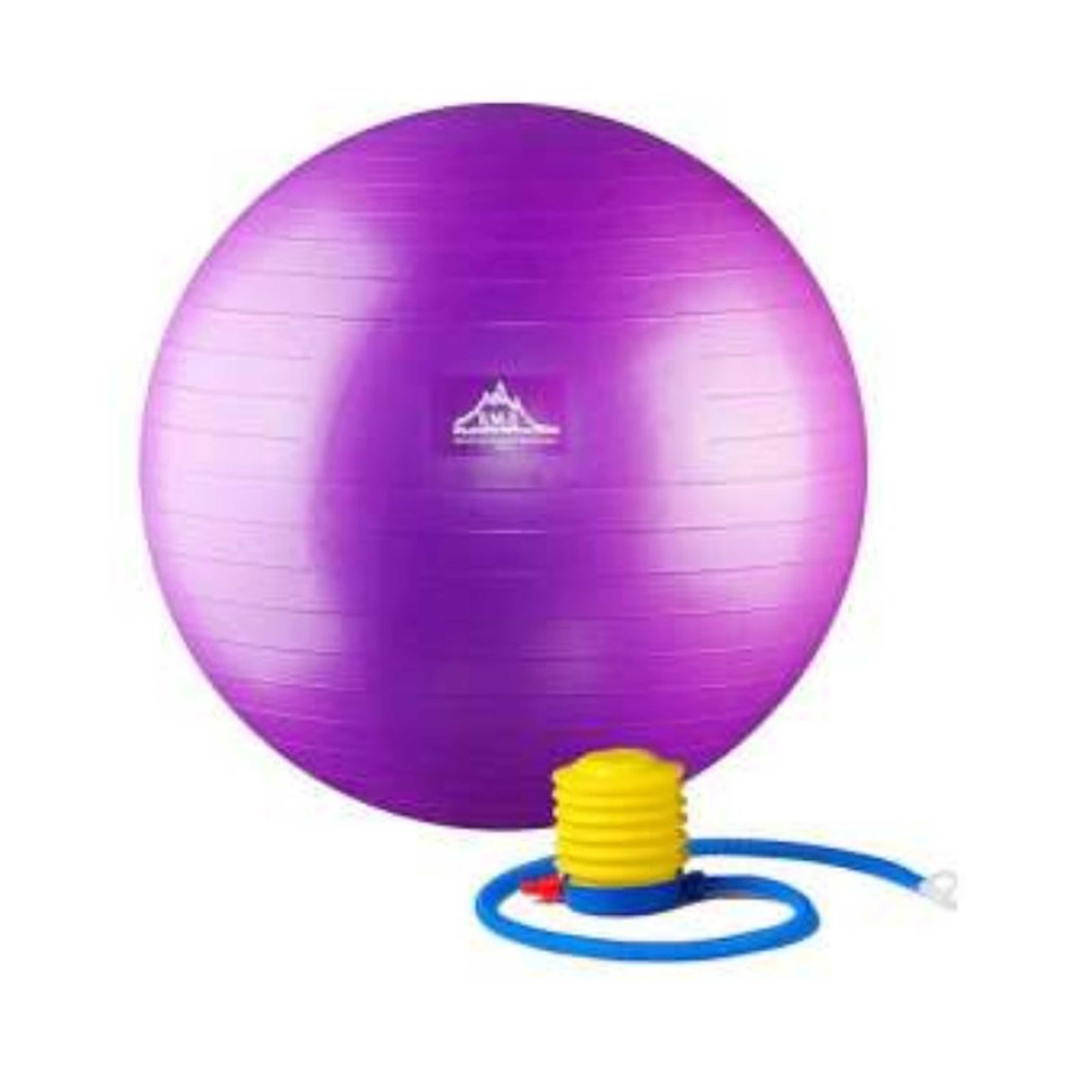 Gym Ball with Pump – Purple