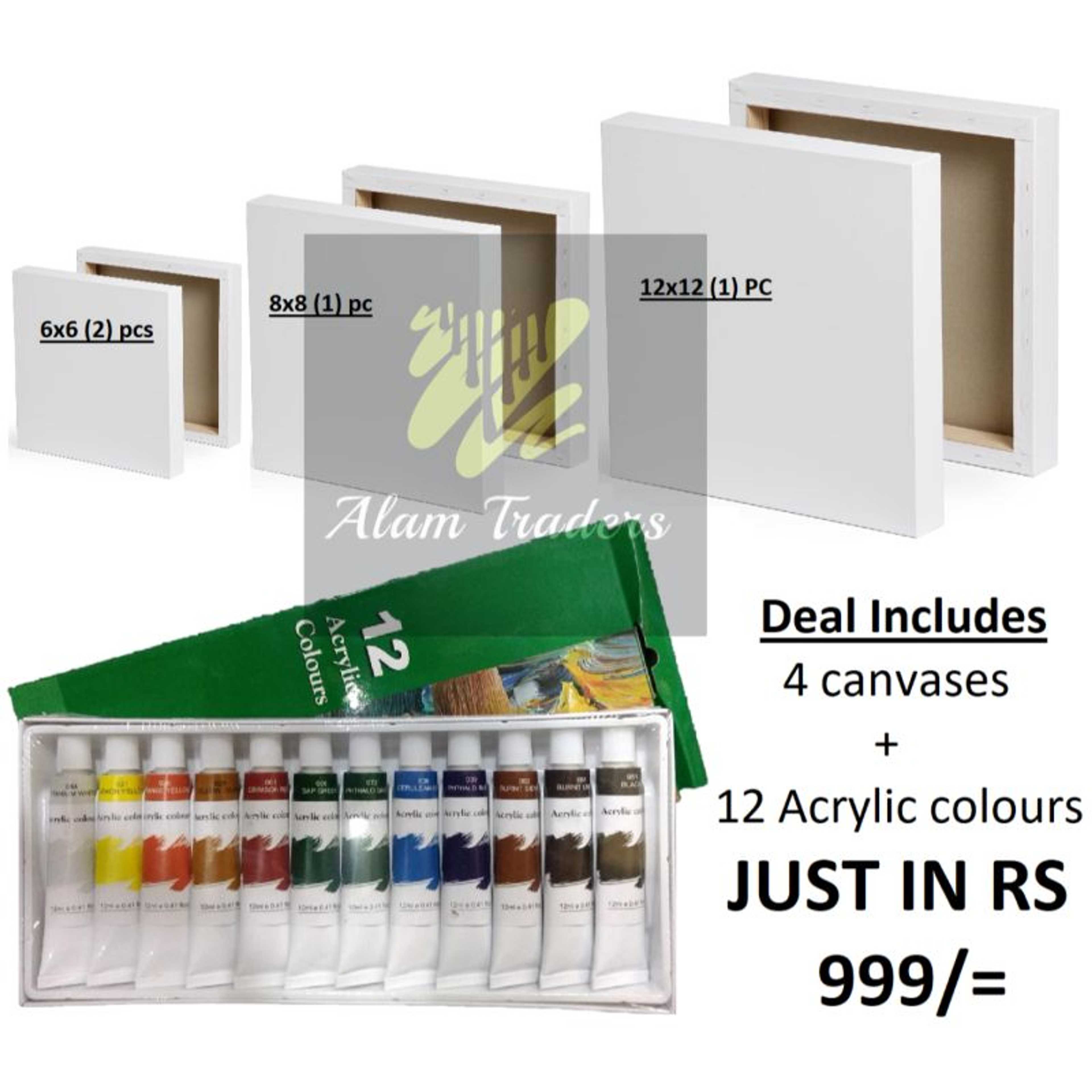 DEAL (2) 6x6 Canvas (1) 8x8 Canvas (1) 12x12 Canvas with (1) Acrylic 12 PC Colour tube set