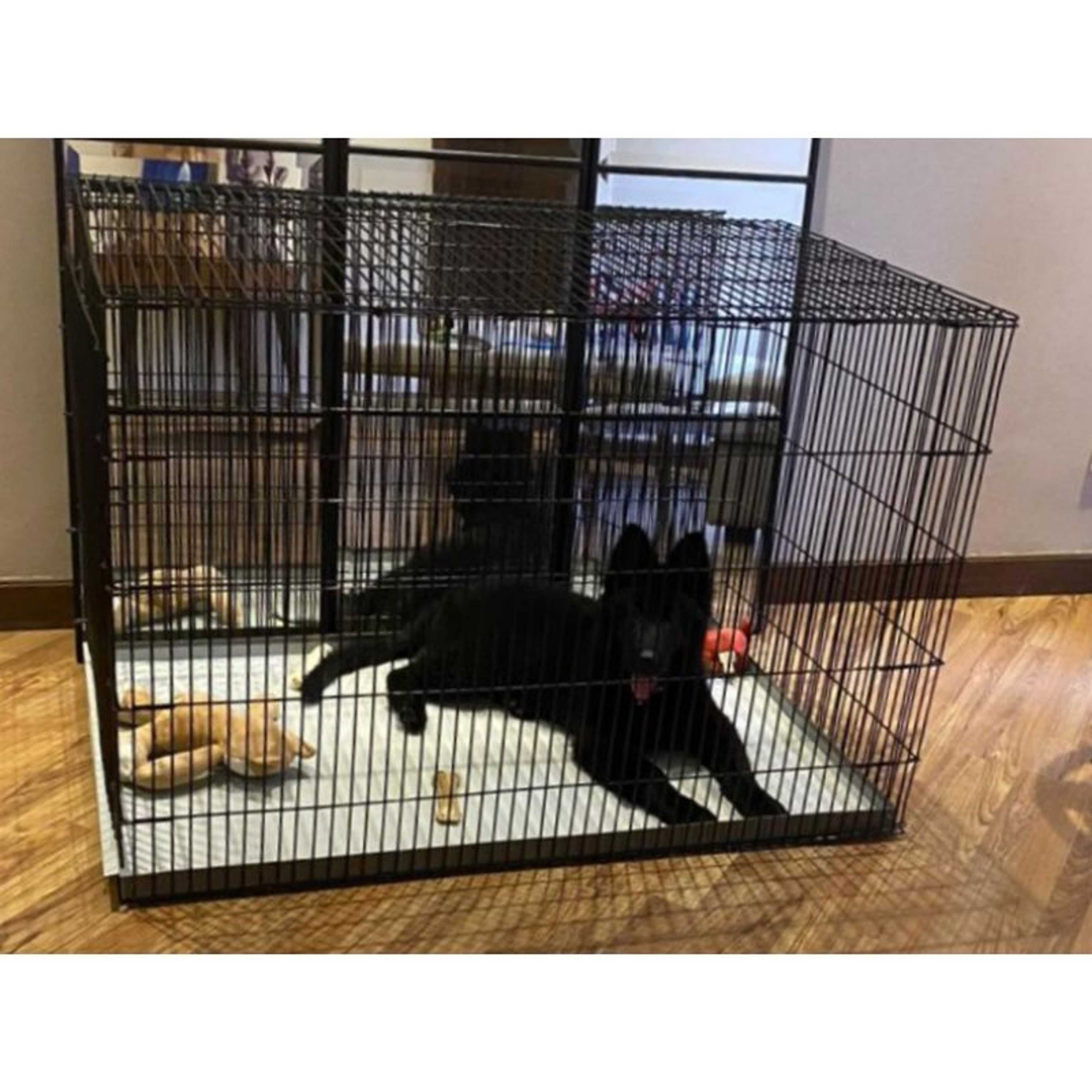  Folding Cage for adult dogs