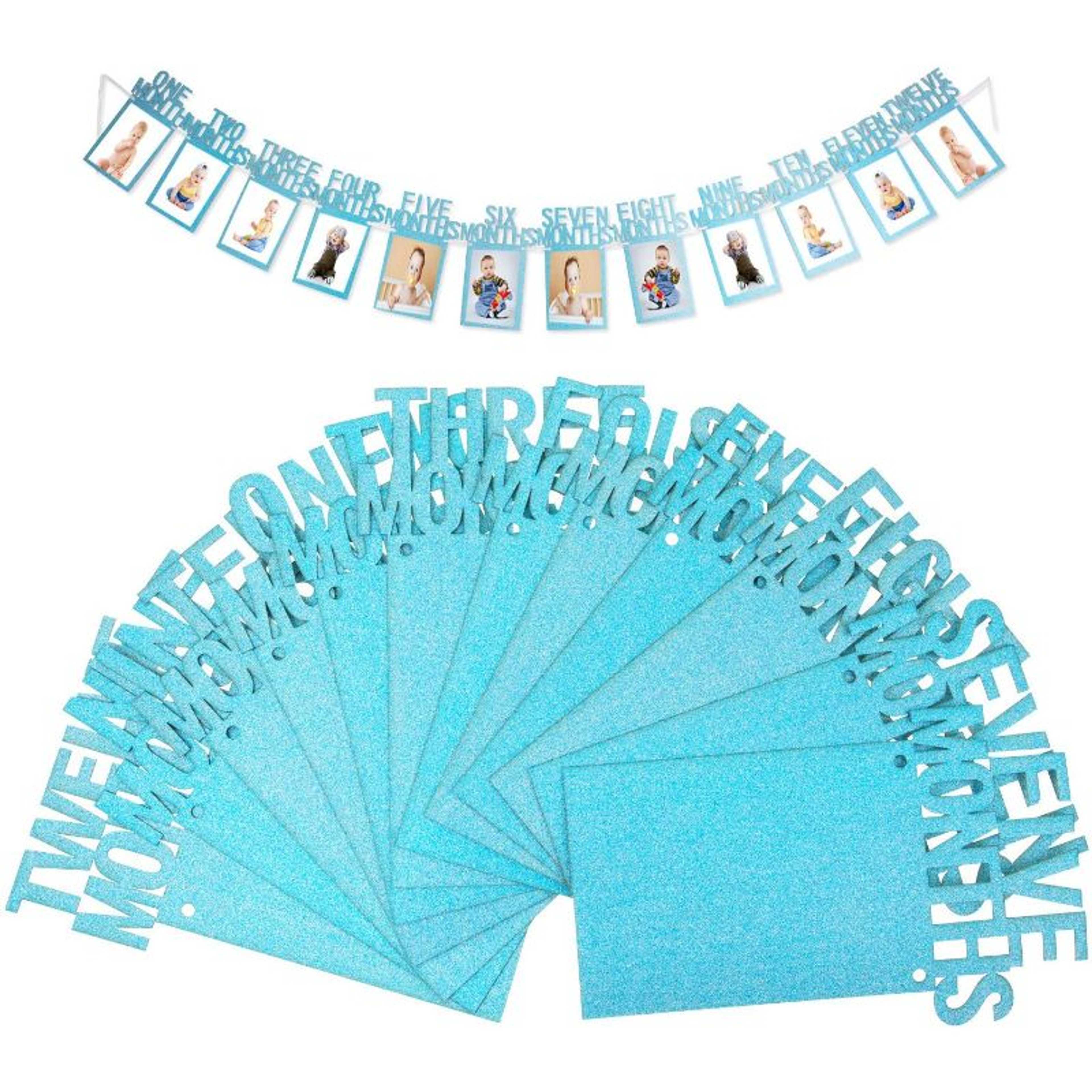 Photo Banner Memories Pink and Blue 12pcs/set Baby First Birthday Pictures Wall Hanging Twelve Months Frames String Flag Accessories - Product Main Image
