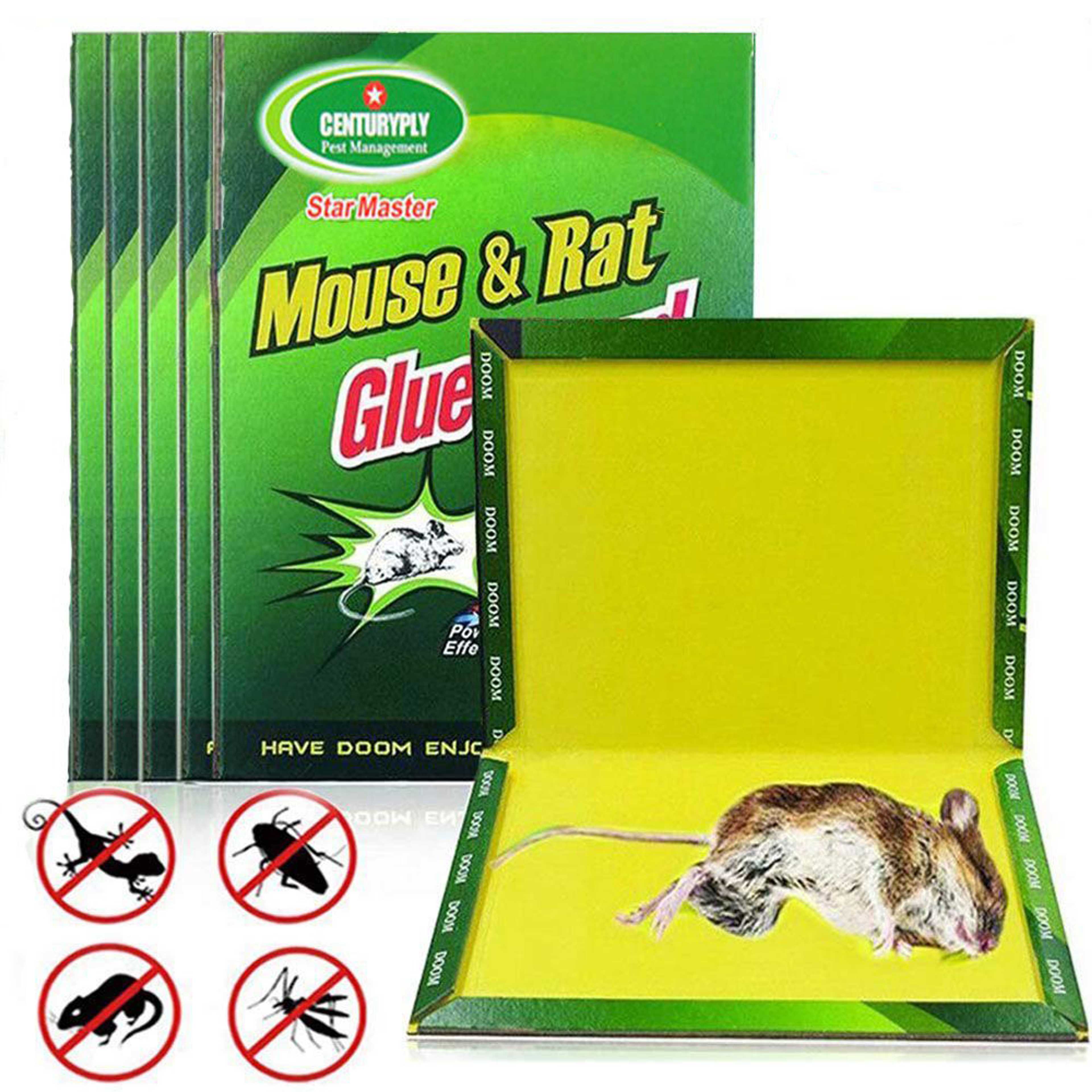 Mouse killer board sticky rat board catch catch sticky mouse glue stick cage medicine mouse mouse killer bane of household