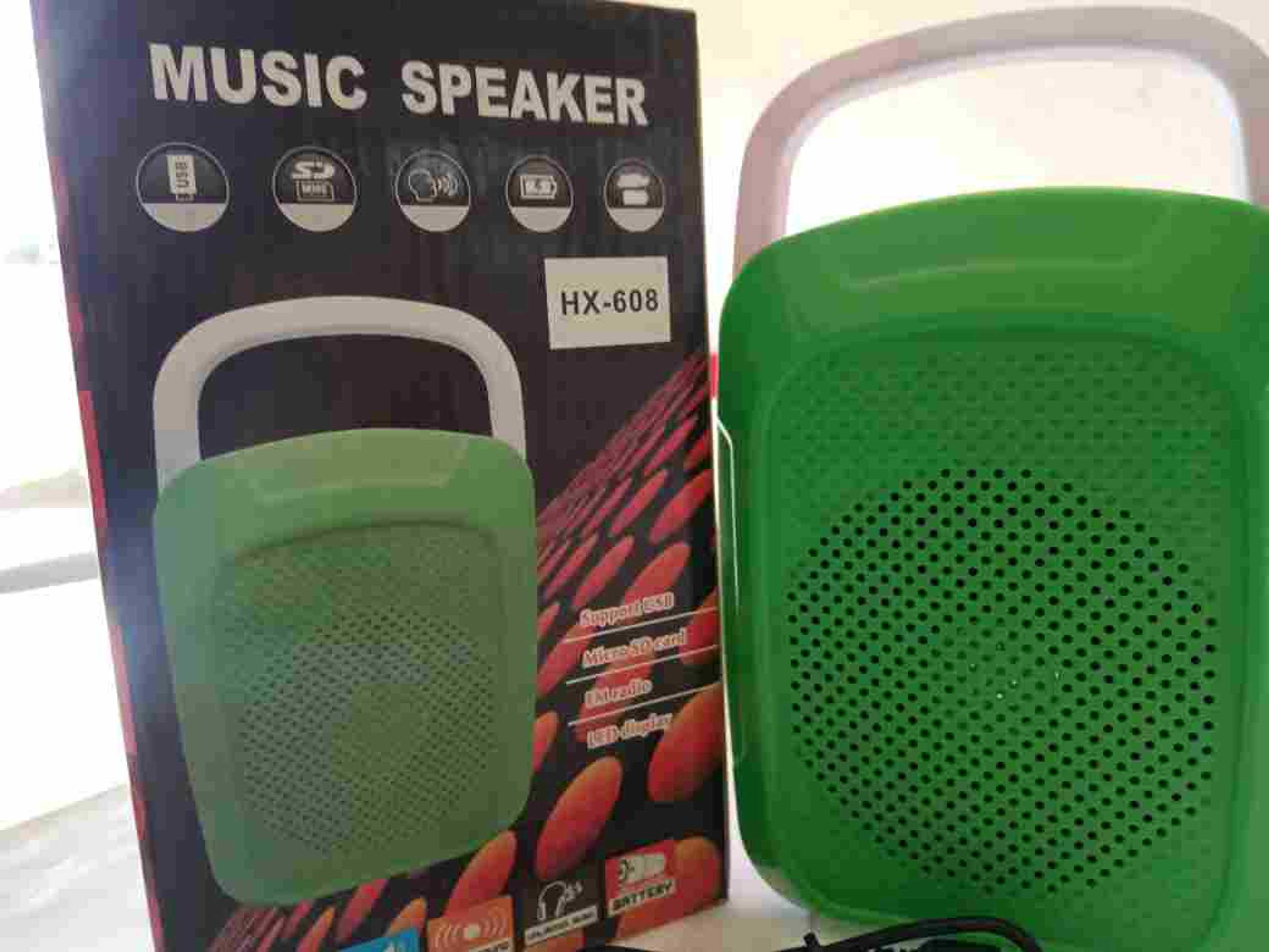 FM speaker