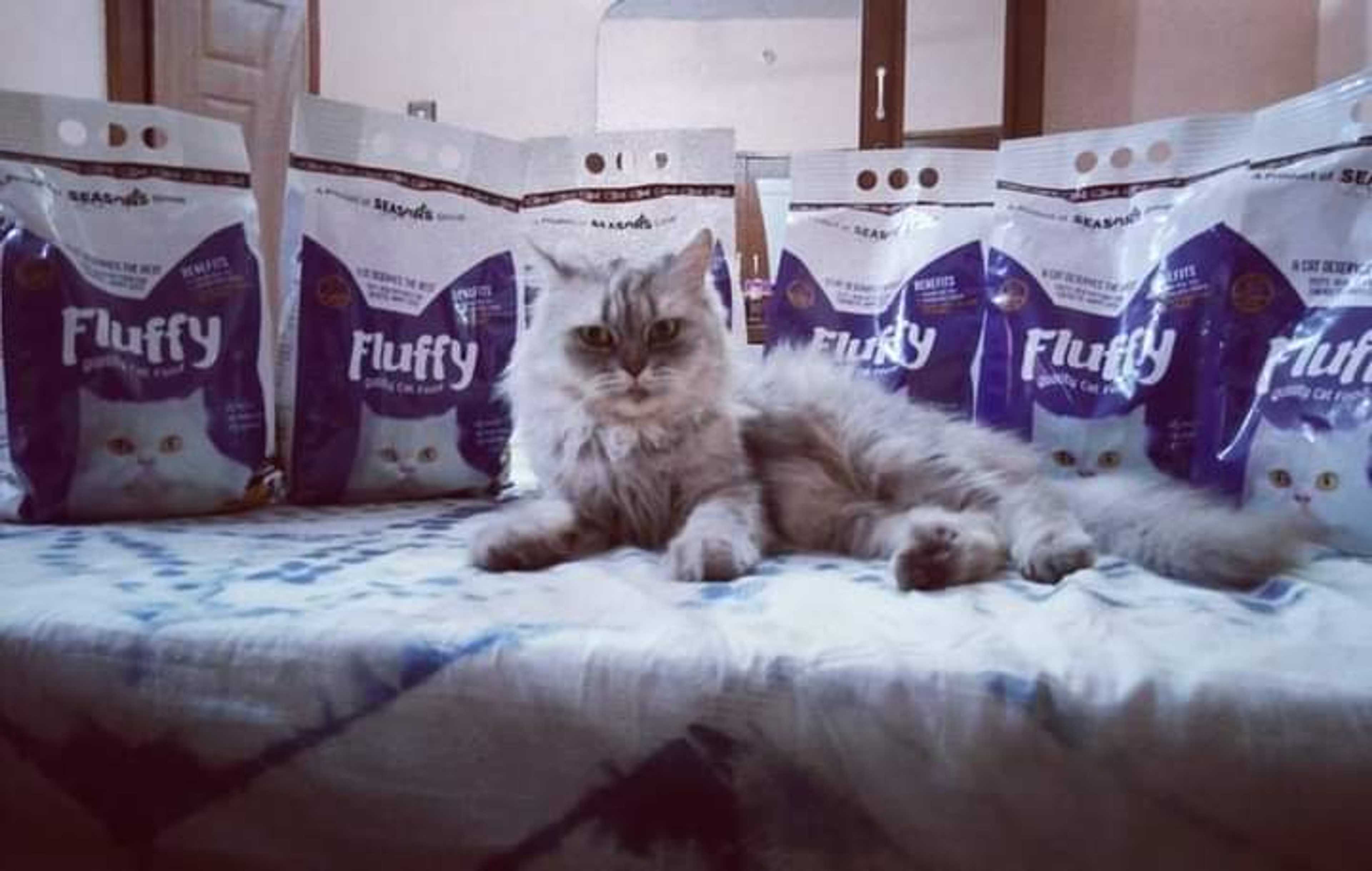 Fluffy cat food 1.2 KG Pack - Healthy Quality Dry Cat Food contains Real Fish and chicken Best food for Cats - Suitable for all ages Taking good care of nutrition and taste, Fluffy Cat Food makes a cat healthy, Best Kitten Food new best friend of your cat
