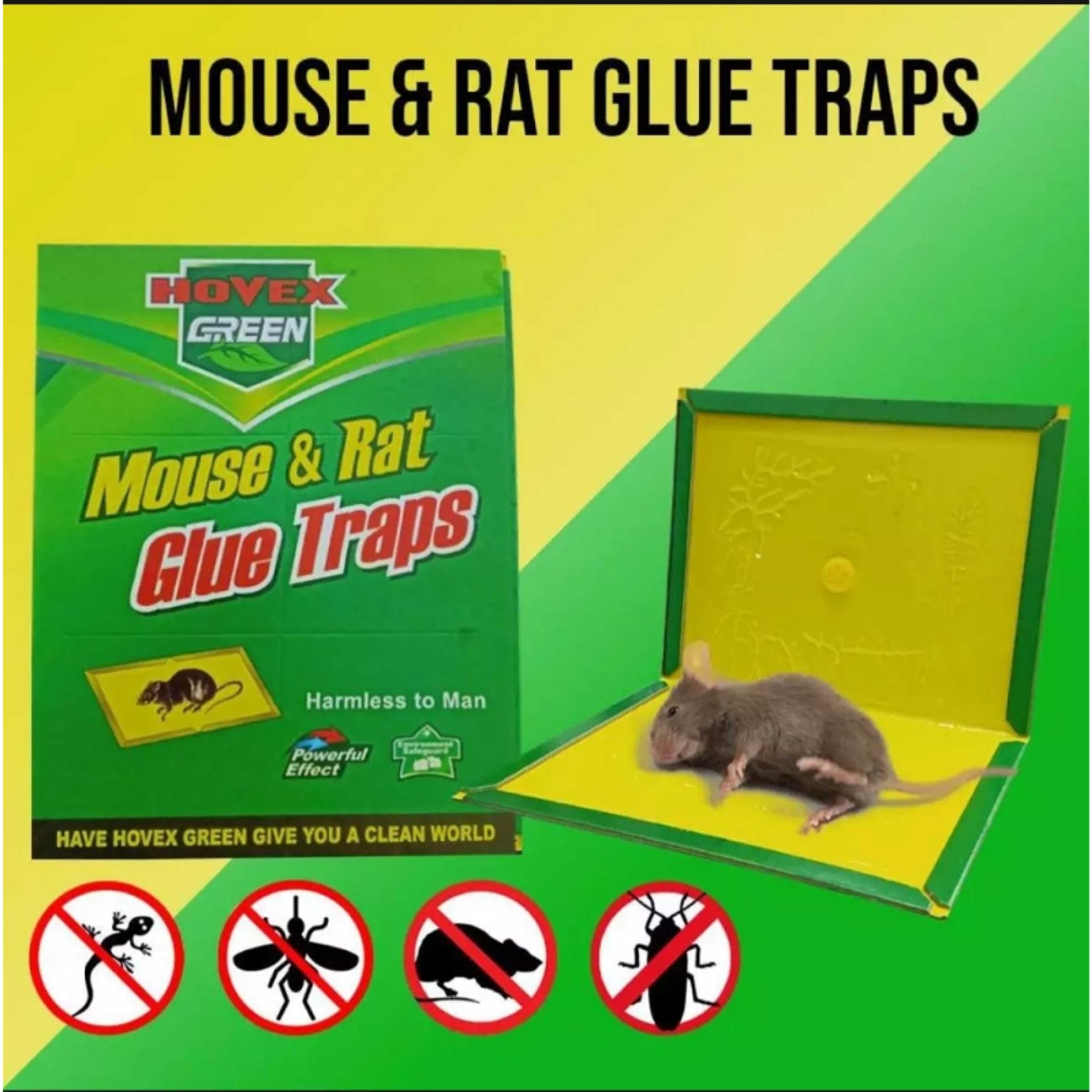 Reusable Expert Catch Mouse Glue Traps Mouse Size Glue Traps Sticky Boards Mouse Catcher Mice Professional Strength Glue Insect Lizard Spider Cockroach Rodent Snake Strongly