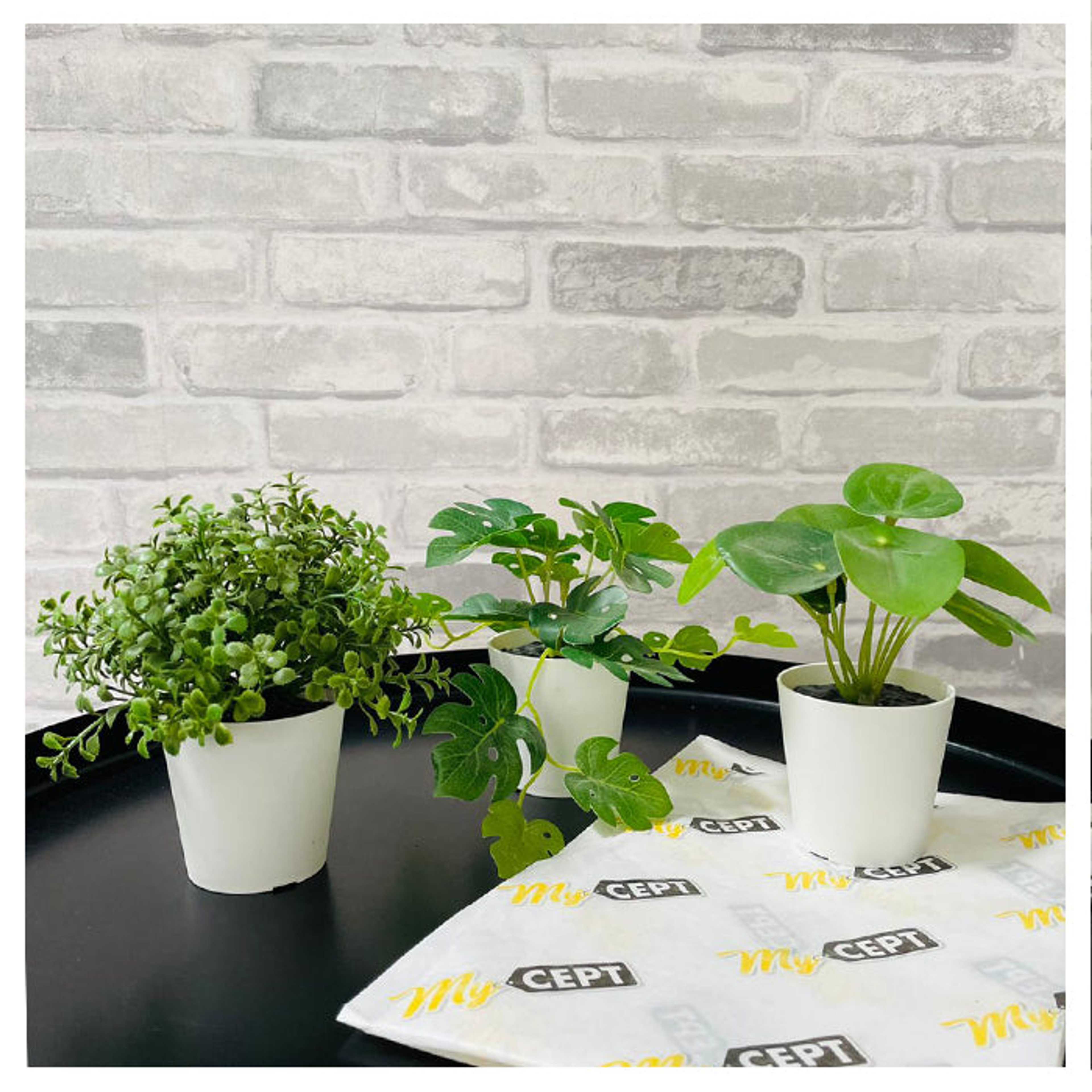 Artificial Plants Pack of 3 - Green - Product Main Image