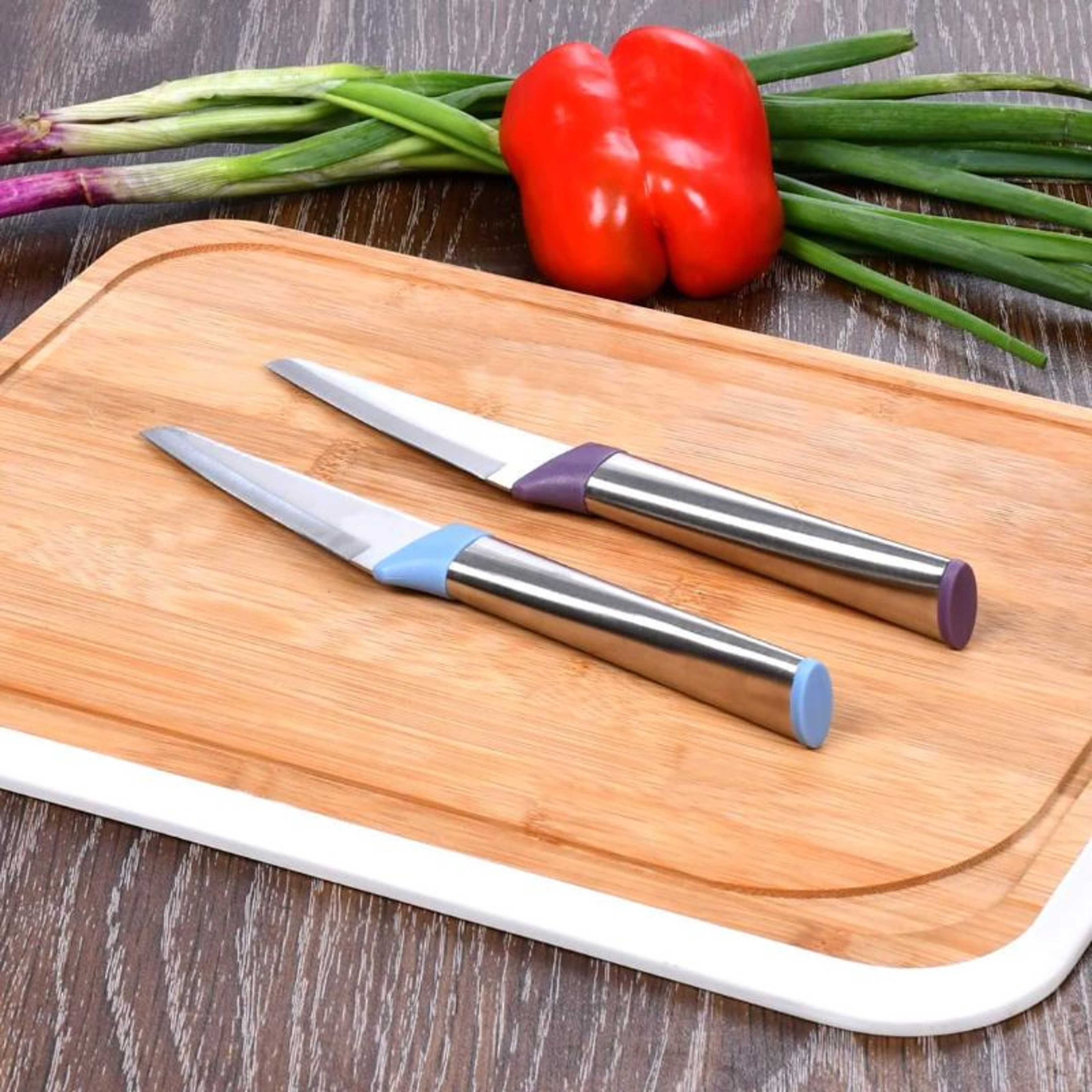 J&T Stainless Steel Paring Knife (SK-1444)