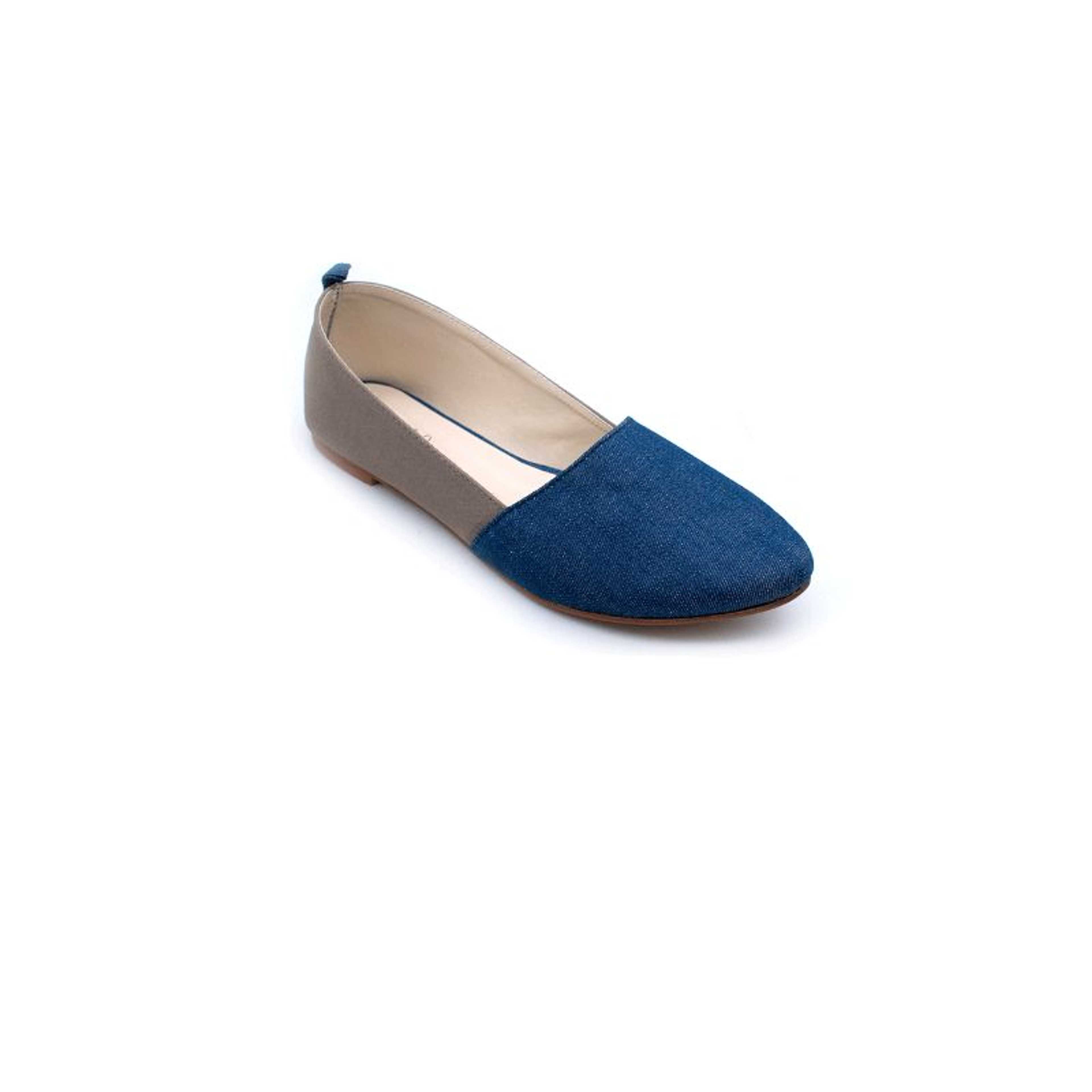 BLUE PUMP B04141/005 - Product Main Image
