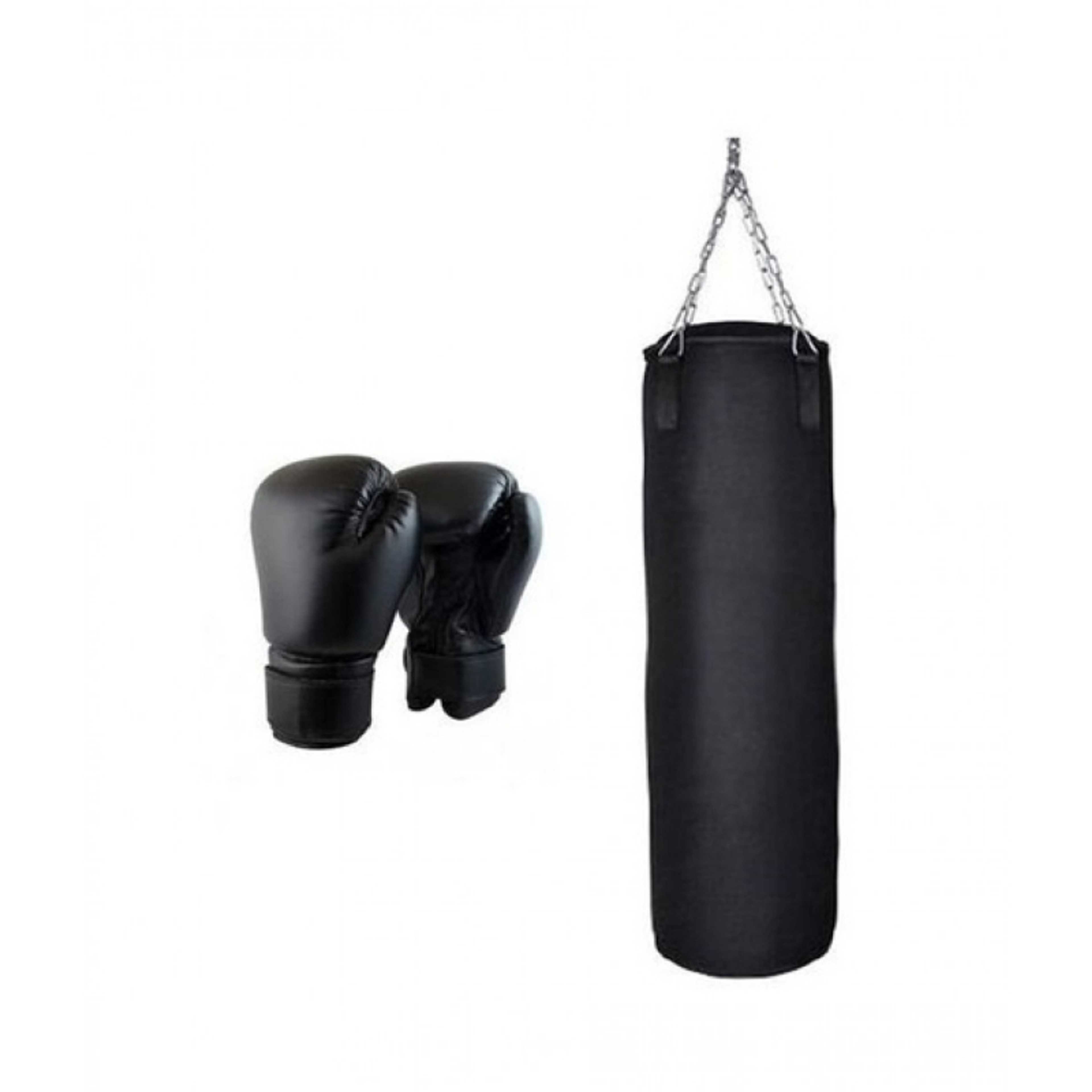 Boxing Bag 4 ft. With Gloves Pro Style Training Gloves