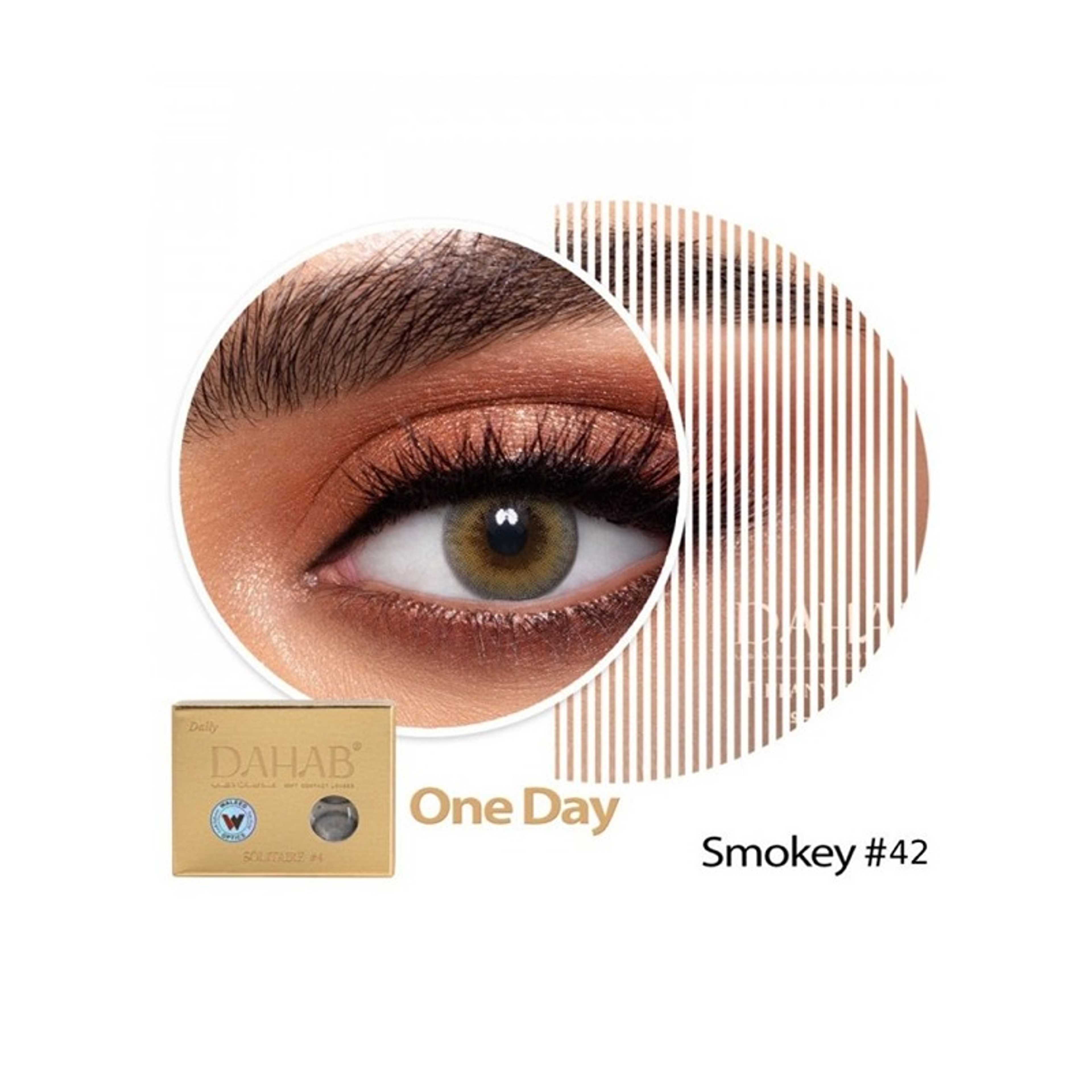 Dahab-Dahab Daily Lenses Smokey No42 - Product Main Image