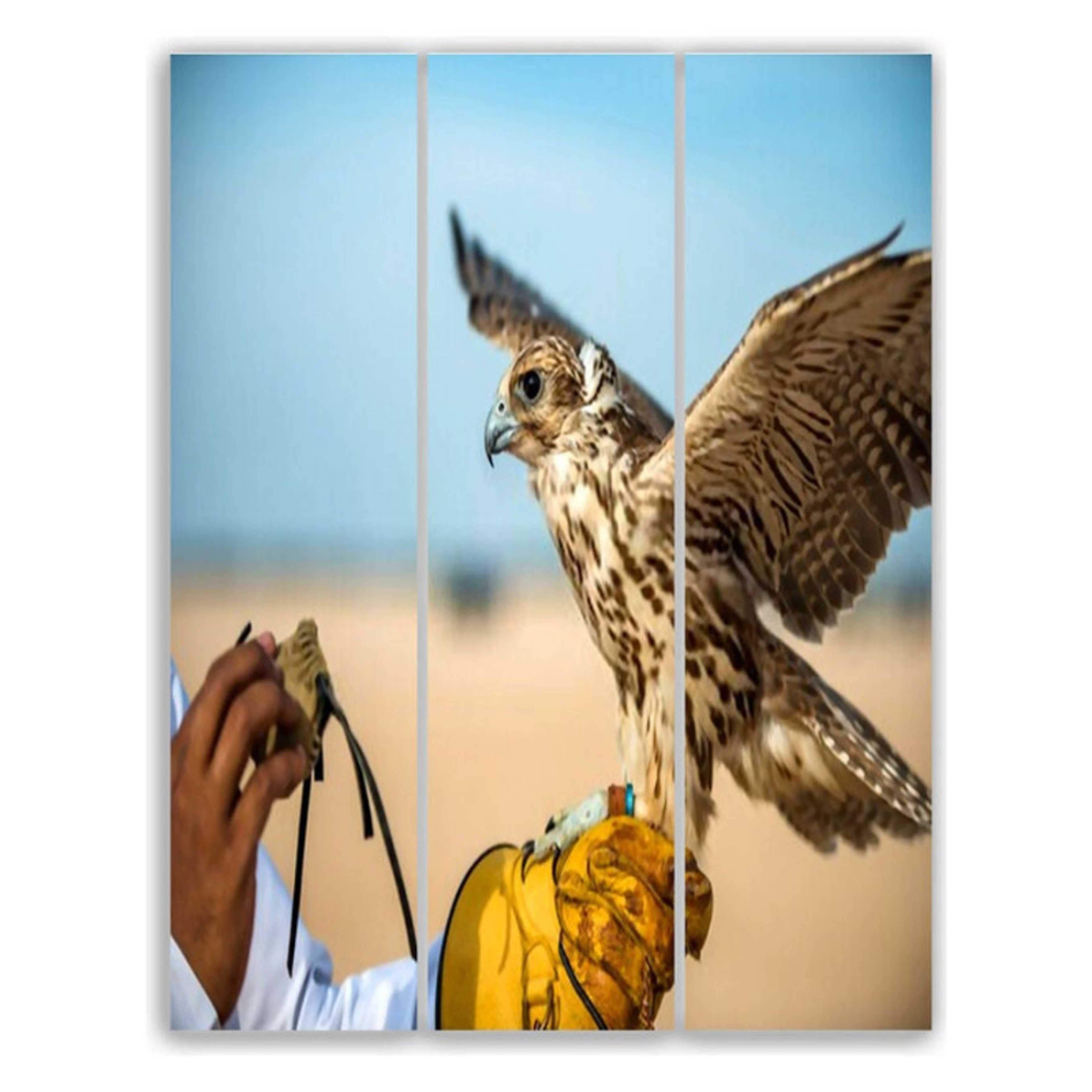 Falcon Themed Wall Art Paintings Set Multicolour - Product Main Image