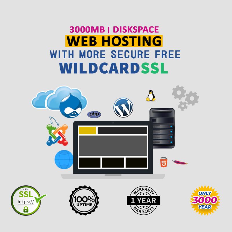 Wordpress Web Hosting With More Secure Free Wildcard SSL For 1 Year Activation - 3000MB Diskspace