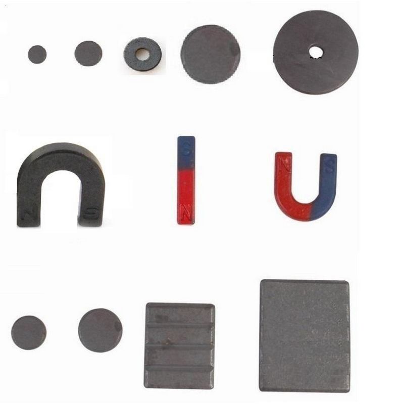 Pack of 12 - Different Shaped Mini Magnets for School Educational Teaching Projects