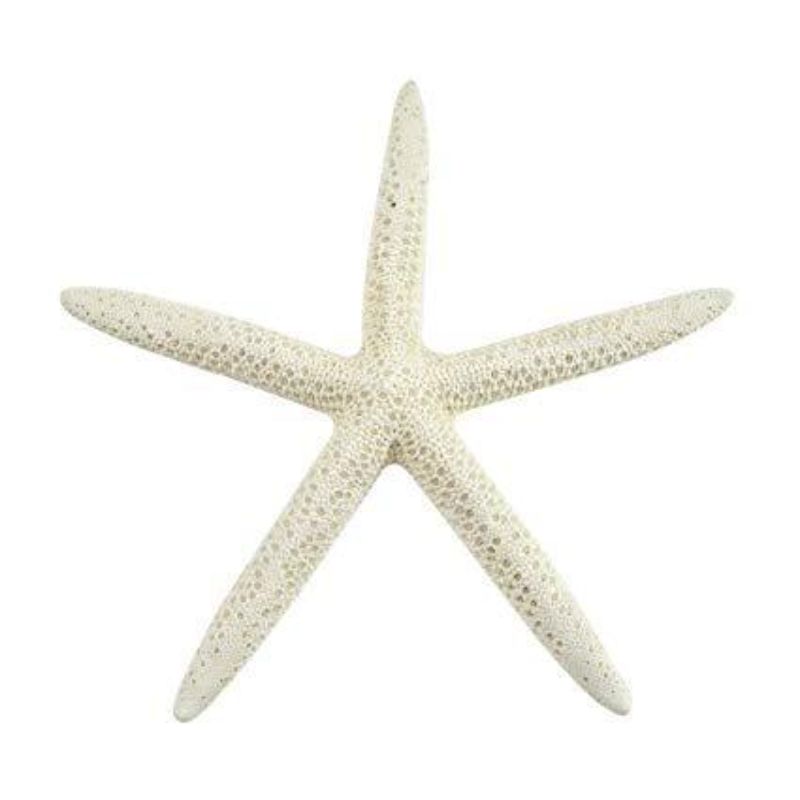 Set of 3 - Starfish Shaped Craft for Kids