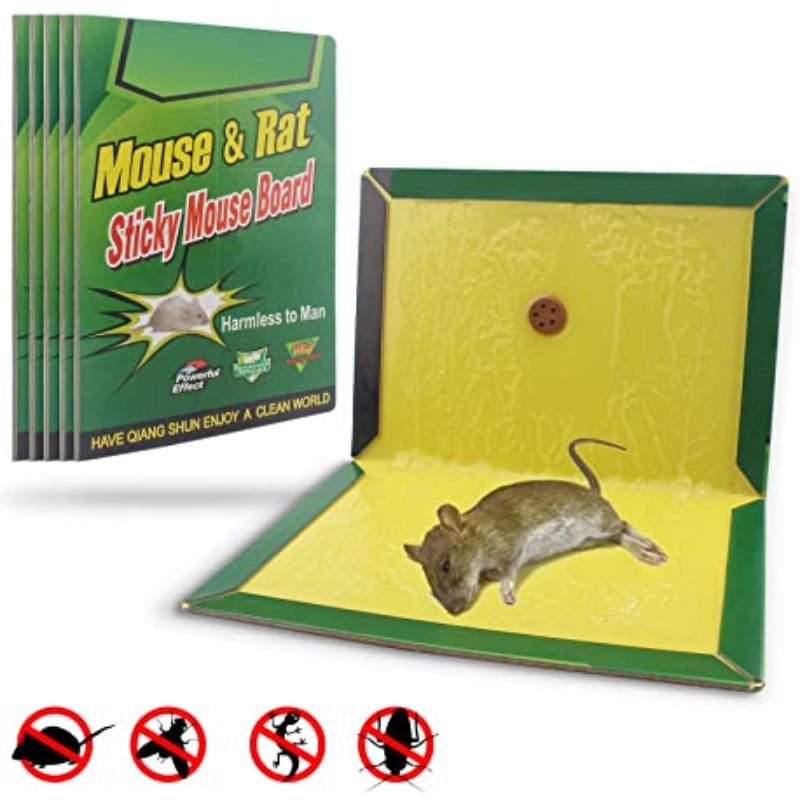 Mouse And Rat Glue Board