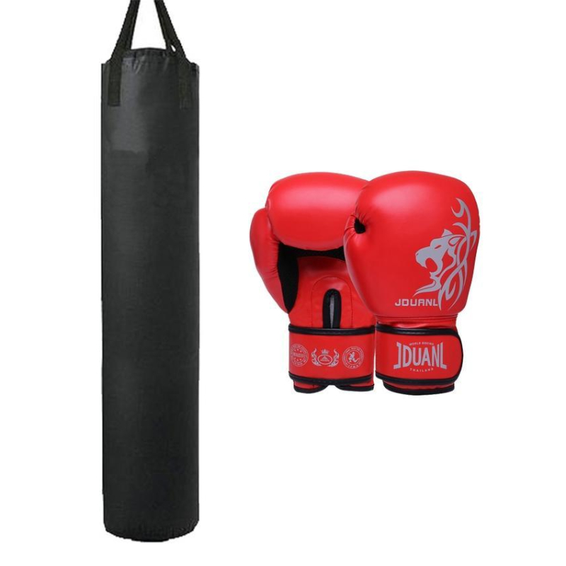 Boxing Bag & Gloves For Home Gym
