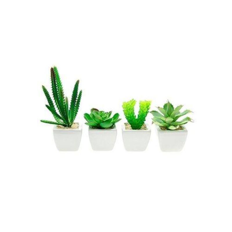 Set of 4 - Decorative Lifelike Mini Artificial Plants in White Ceramic Pots