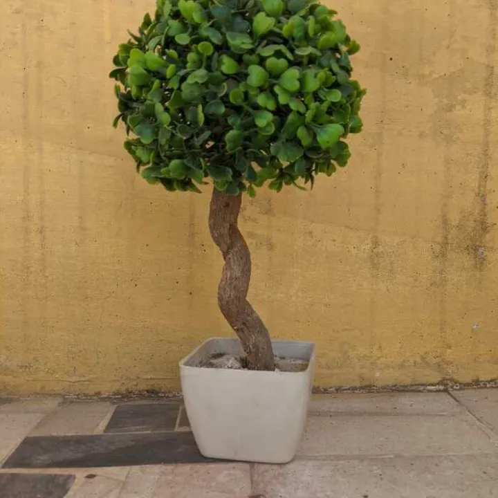 Artificial Green Plant Decoration Piece with pot Best for home & Office Decoration