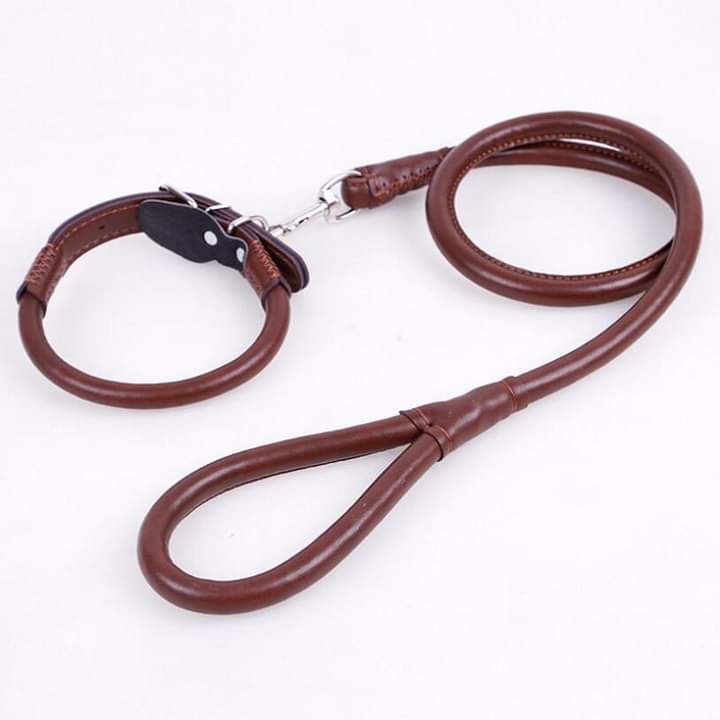 Adjustable Leather Dog Rope Leash Mix Colors